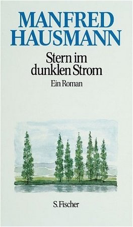 Stern im dunklen Strom