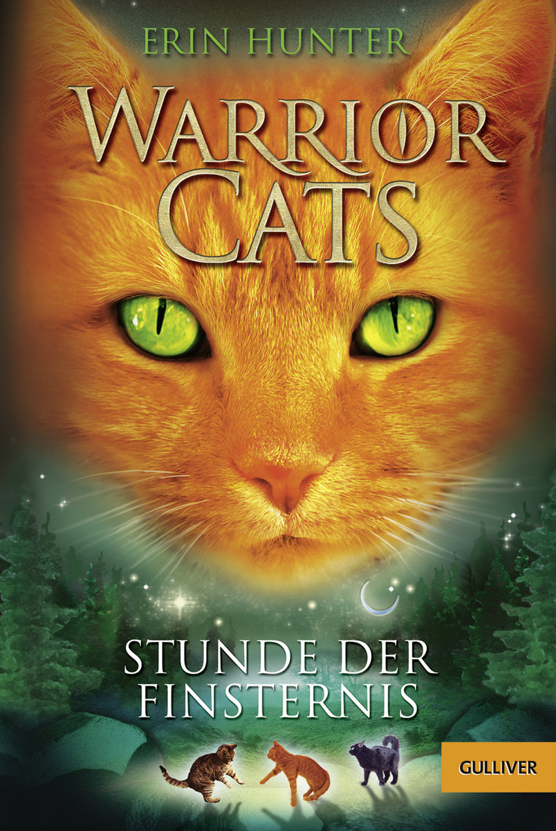 Warrior Cats Staffel 01/06 - Stunde der Finsternis